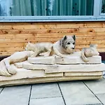Boutique Lieska Pensjonat 4*