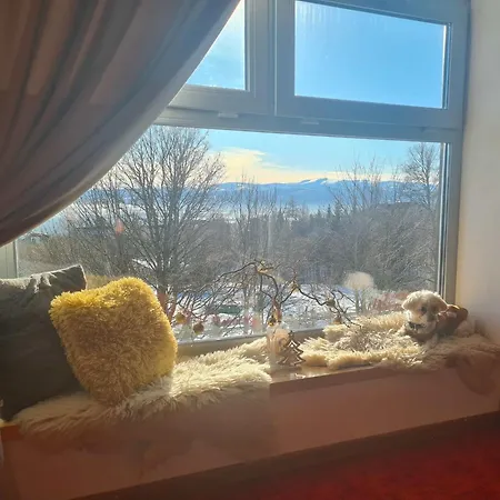 招待所 Boutique Lieska